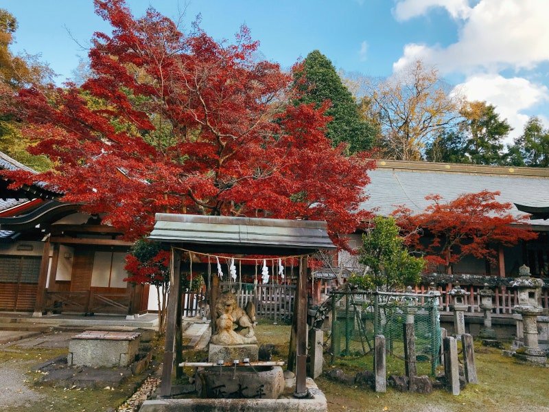 ⛩️ 타무케야마 하치만구 이미지 1